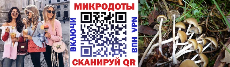 Галлюциногенные грибы мухоморы Прокопьевск